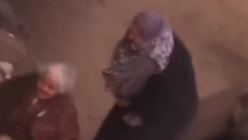 الفيديو