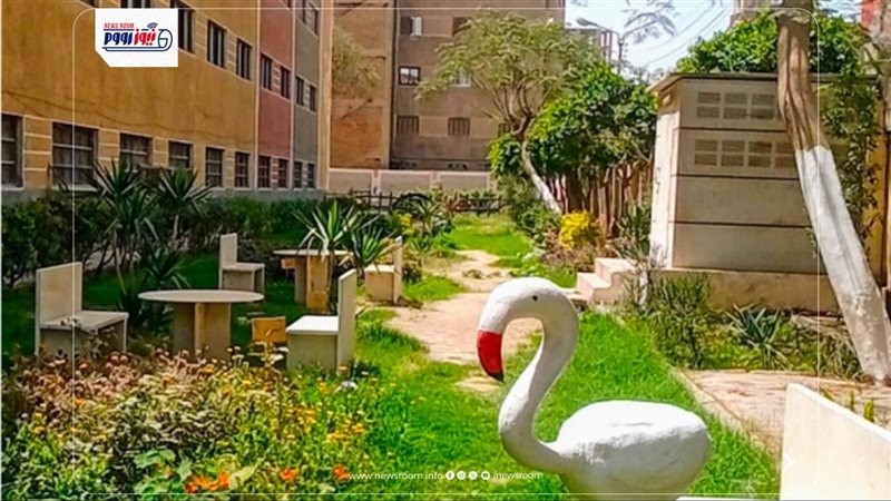 مدارس الفيوم 