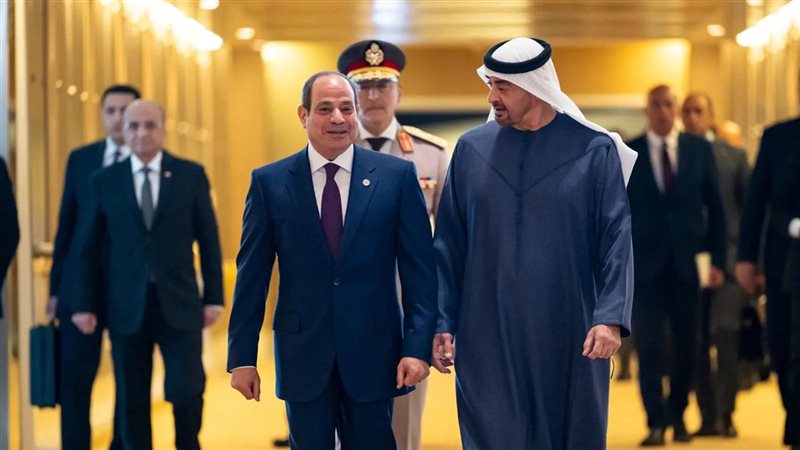 السيسي ونظيره الإماراتي