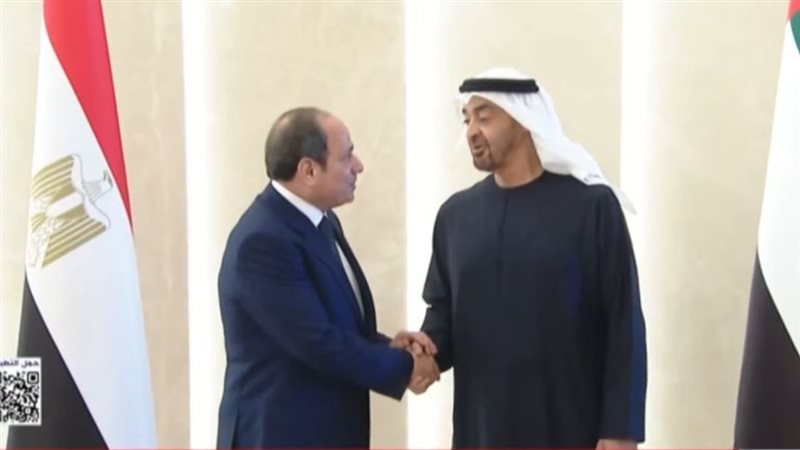 الرئيس السيسي والإماراتي