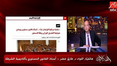 أستاذ قانون دستوري: القوانين التي أقرها نائبا منيا القمح «صحيحة»