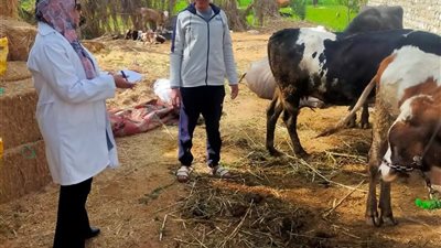 «بيطري السويس» يجري تقصي للحالة الصحية للحيوانات بقرى كبريت والسلام بالسويس