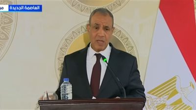 وزير الخارجية: نعمل على إنشاء خط لإنتاج الدواء المصري في السنغال