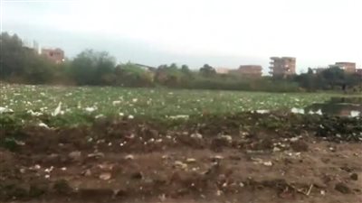 انبعاث روائح كريهة وانتشار الأمراض يؤرق أهالى قرية شنوان بالمنوفية