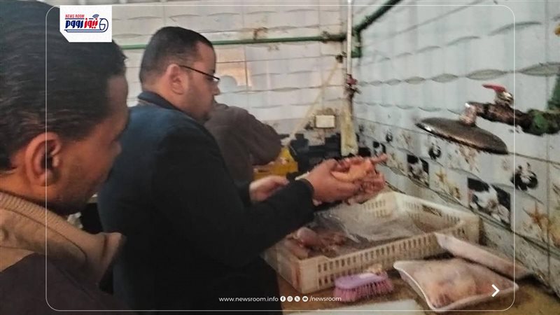 تموين المنيا 