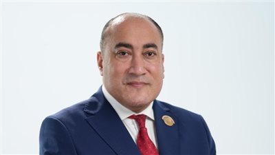 برلماني: لقاء الرئيس وبن زايد يؤكد ثبات الموقف المصري الداعم لأمن الخليج