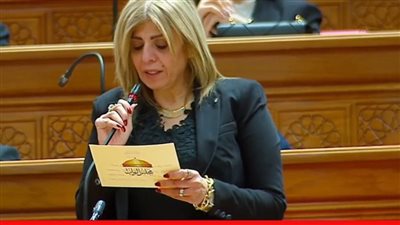 تحرك برلماني عاجل لوقف «الإدمان الرقمي» وحماية الأسرة المصرية