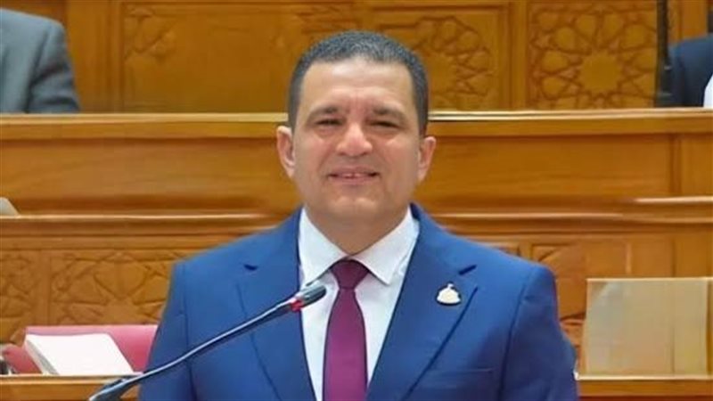 النائب أمير الجزار