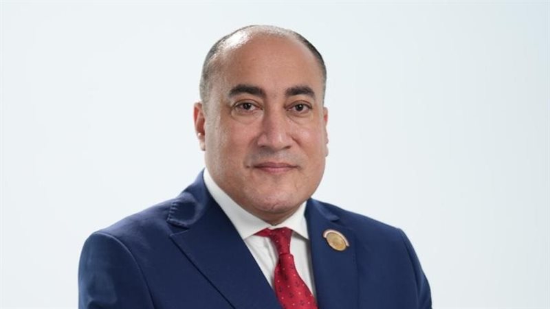 المهندس عمرو رشاد