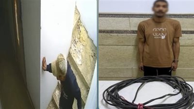 استولى على أسلاك الشقة.. تفاصيل فيديو اتهام عنصر جنائى بسرقة شقة بالزقازيق 