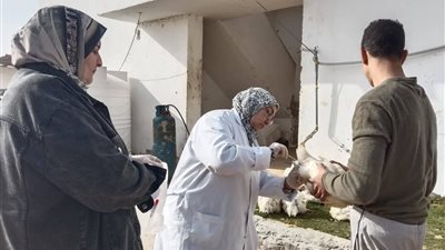 سحب عينات دواجن للتأكد من خلوها من انفلونزا الطيور قبل شهر رمضان