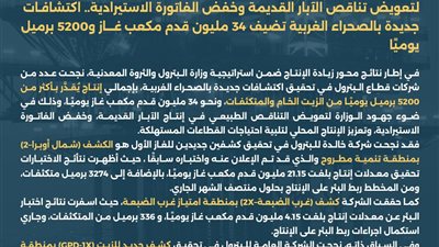 اكتشافات جديدة بالصحراء الغربية تعزز إنتاج الغاز والزيت وتخفض الاستيراد المحلي