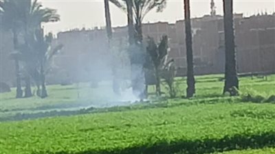 البيئة: ضبط حريق مكشوف لمخلّفات زراعية بالشرقية واتخاذ إجراءات قانونية عاجلة 