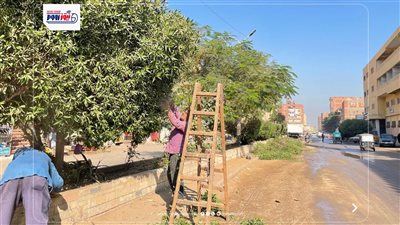 حملات يومية للنظافة العامة ورفع القمامة والمخلفات بمركز ومدينة أبشواي