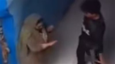 فحص أمني لفيديو يوثق اعتداء شاب على والدته في قرية نقباس ببنها