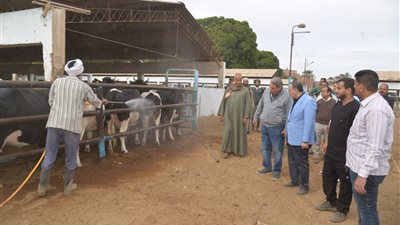 ضمن استعدادات استقبال شهر رمضان.. محافظ أسيوط يتفقد مزرعة أبنوب