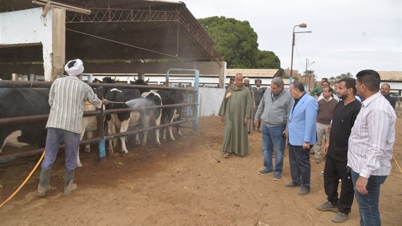 صورة واقعيه