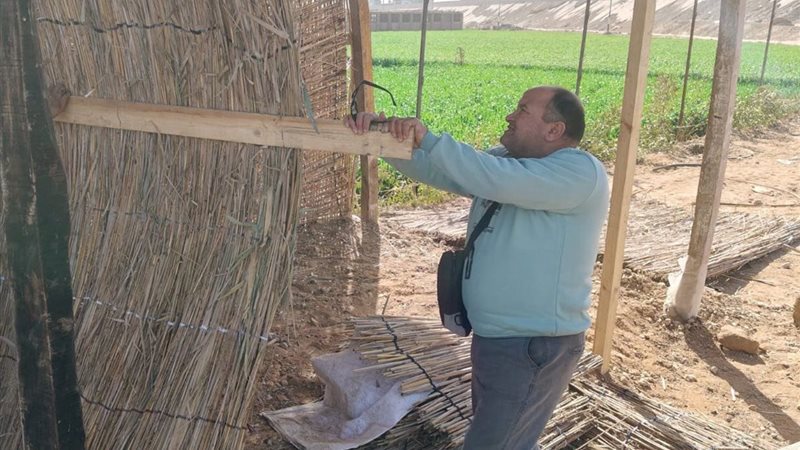 حملات الإزالة