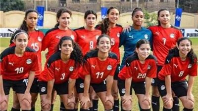 تأجيل مباراة منتخب مصر للشابات ضد بنين في لومي بسبب هجوم النحل