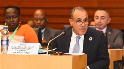 وزير الخارجية يجدد التزام مصر بدعم استرداد التراث الإفريقي 