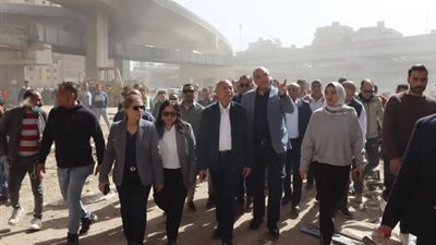 لليوم الثاني على التوالي.. محافظا القاهرة والقليوبية على رأس حملة موسعة بالمرج
