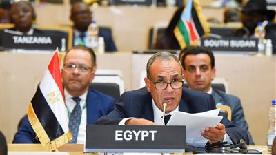 أمام قمة الاتحاد الأفريقي .. وزير الخارجية يستعرض التقرير السنوي لمجلس السلم