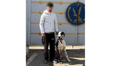 حجز المتهم بالتشاجر بكلب شرس أصاب به شاب لمعاتبته على معاكسة شقيقته بالقطامية