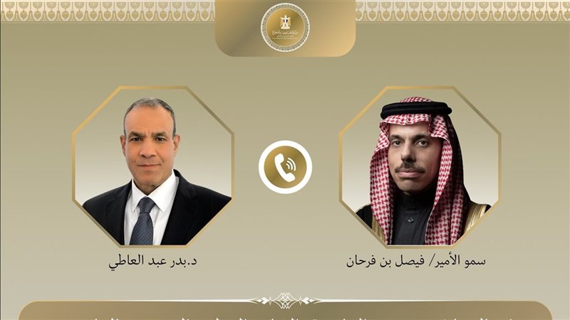 وزيرا خارجية مصر