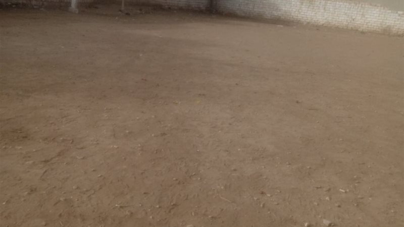 استجابة لـنيوز روم