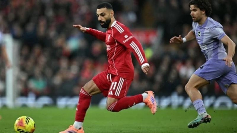 ليفربول ضد برايتون
