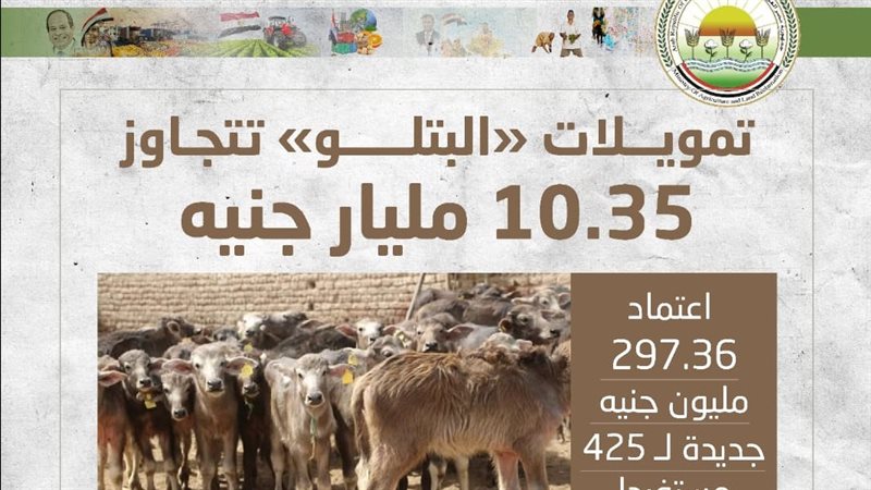 تمويلات البتلو تتجاوز