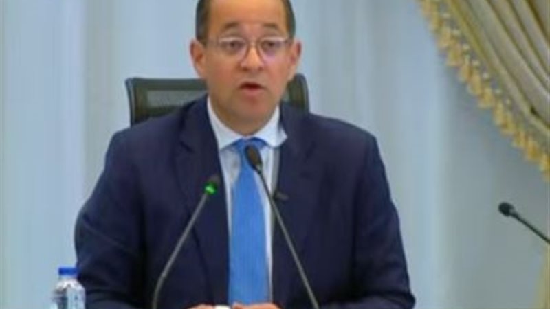 وزير المالية