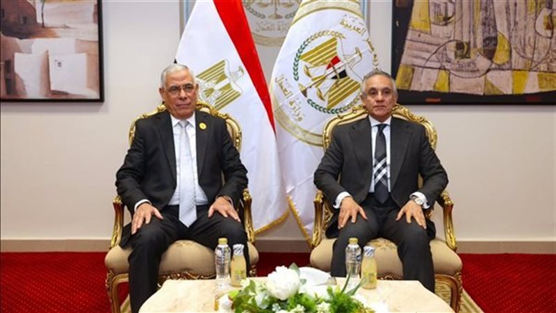 وزير العدل والنائب