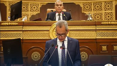 وزير شؤون المجالس النيابية في أول ظهور له بـ
