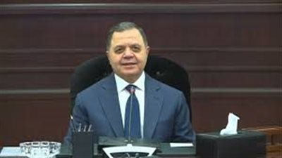 مع احتفاظهم بالمصرية.. السماح لـ 21 مواطنا بالتجنس بالجنسية الأجنبية|مستند