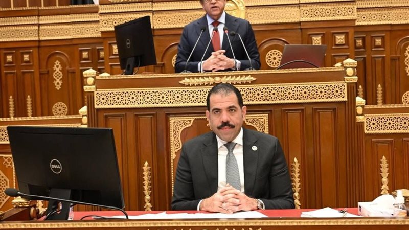 مجلس الشيوخ