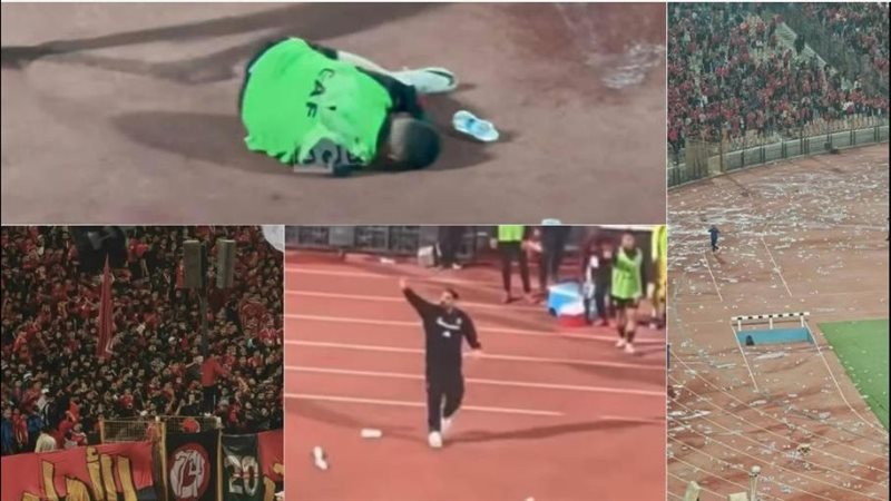 جماهير الأهلي وأعمال