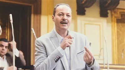 النائب حسين غيته يتقدم بطلب إحاطة بشأن حبة الغلة ومياة النار 