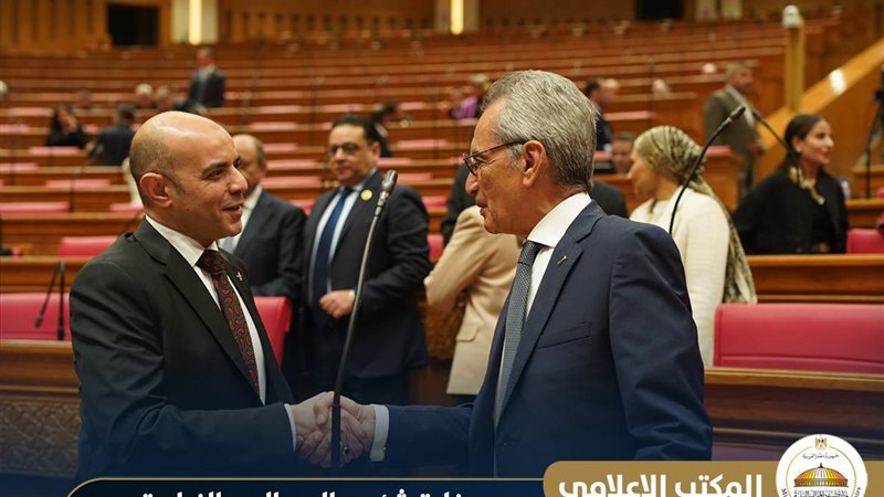 المستشار هاني حنا
