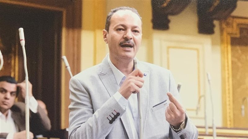 النائب حسين غيته