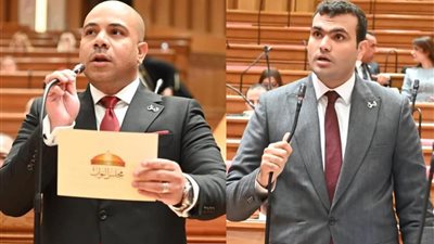 تحرك برلماني عاجل بشأن تداعيات حكم دستوري على جداول قانون المخدرات