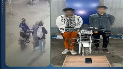 القبض على شخصين لاتهامهم بسرقة حقيبة سيدة بالدقهلية | فيدي