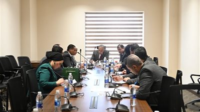 لجنة الشئون الإفريقية بالنواب تبحث تعزيز التحرك المصري في القارة السمراء