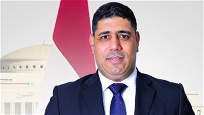 عادل زيدان: بيان الخارجية المصرية يرسخ مبدأ الشرعية الدولية