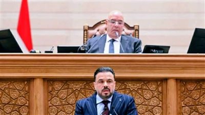 رئيس رياضة النواب: الزيارات الميدانية من أهم الأدوات الرقابية لحل مشاكل الشباب