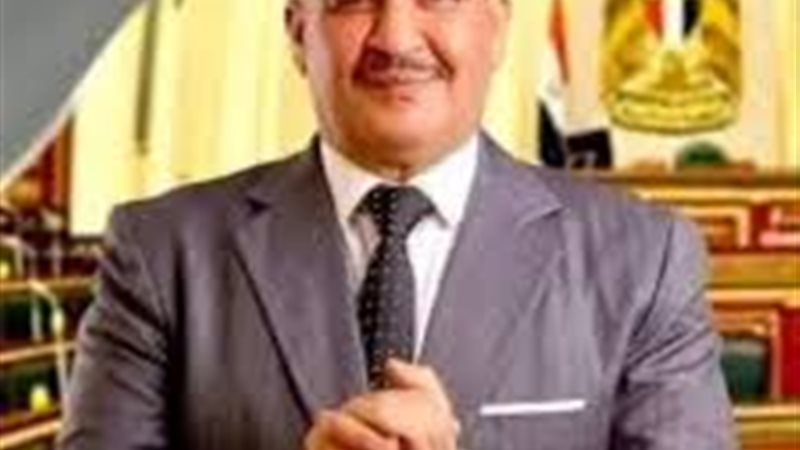 محمود المنوفي