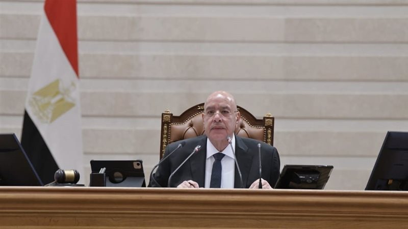 المستشار هشام بدوي