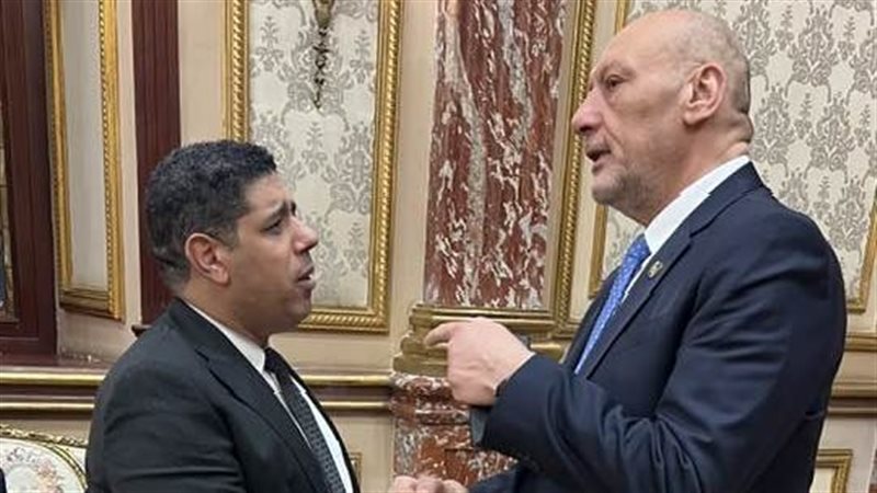 المستشار حسين أبو