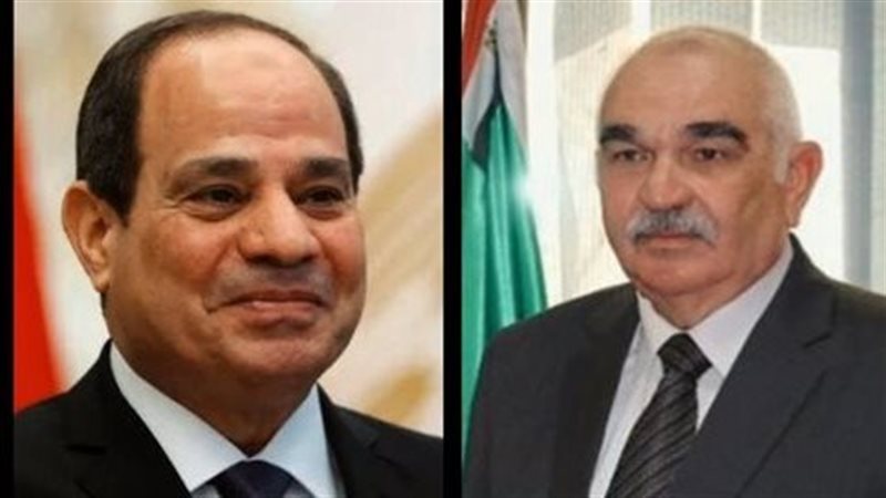 الرئيس السيسي - رئيس