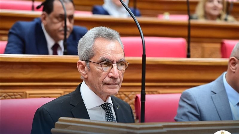 المستشار هاني حنا